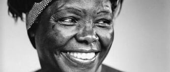 6a01348417b0d5970c015435b43b29970c