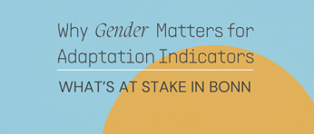 Bonn Article Featured Image