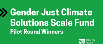 Draft of Winners of FACJ GJCS Scale Fund Graphic