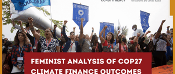 Feminist Analysis of COP27 Climate Finance Outcomes 1