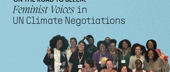 Feminist Voices in UN Climate Negotiations