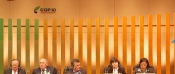 HLS Women Statement11