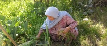 Sikh Women e1464103727607