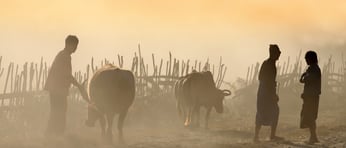 Shutterstock 154556609