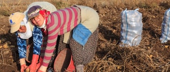 Shutterstock 280030217