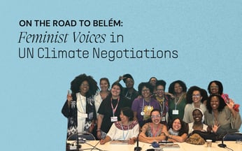 Feminist Voices in UN Climate Negotiations