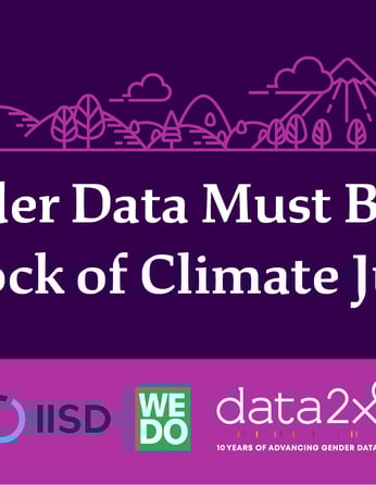 COP27 Graphics 7 Twitter