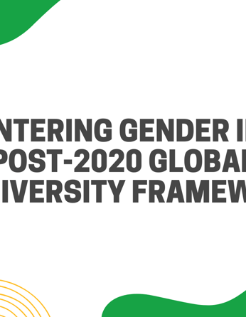 Centering Gender in a Post 2020 Global Biodiversity Framework Mishys Blog April 2022