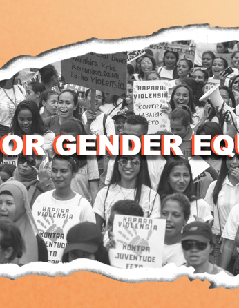 Zine Data Gender Equality