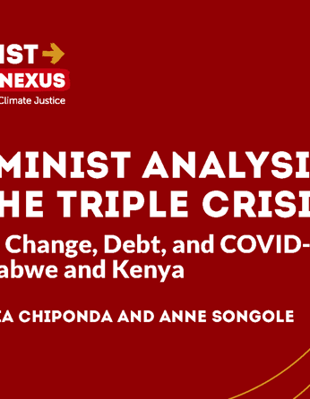 Cover Action Nexus Triple Crisis Brief EN Crop