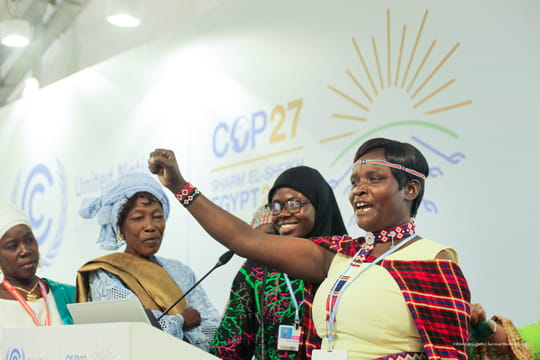 Cop 27 wambui gichobi